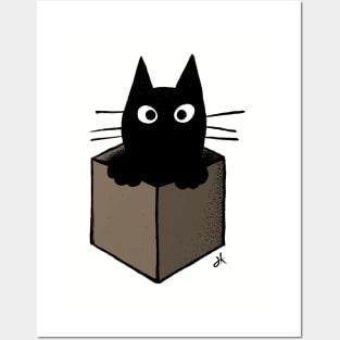 Black Cat in a Cardboard Box Posters and Art